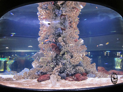 f0234936_2250472.jpg