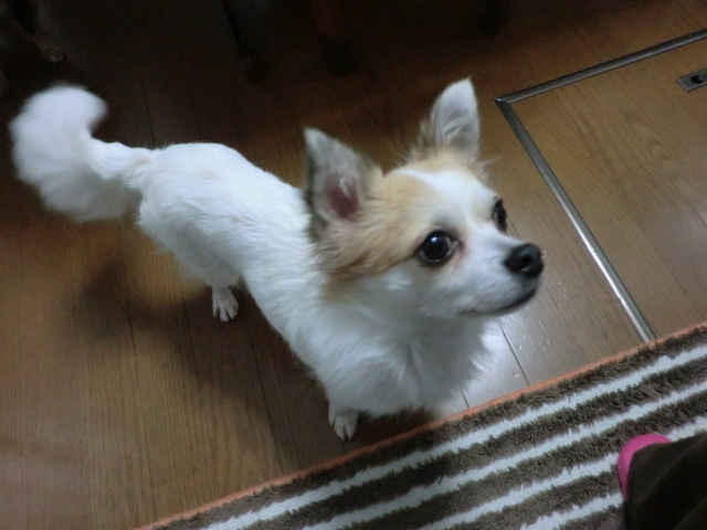 d0169340_944032.jpg