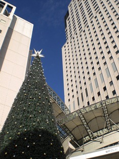 b0199742_12162283.jpg