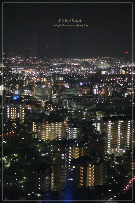 d0173942_14445921.jpg
