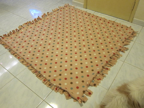 e0018143_316358.jpg