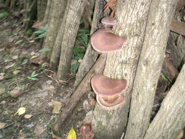 b0132746_0341816.jpg