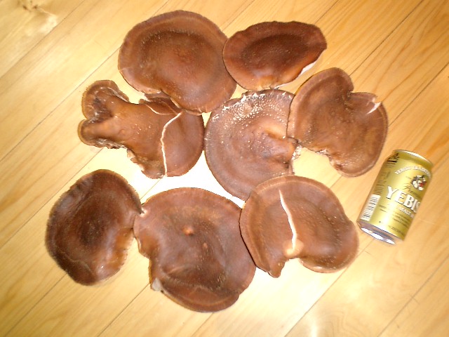b0132746_0361454.jpg