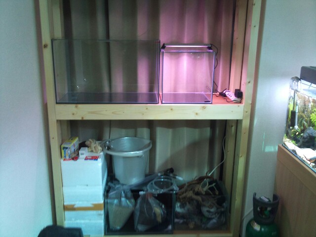 e0213248_23391365.jpg