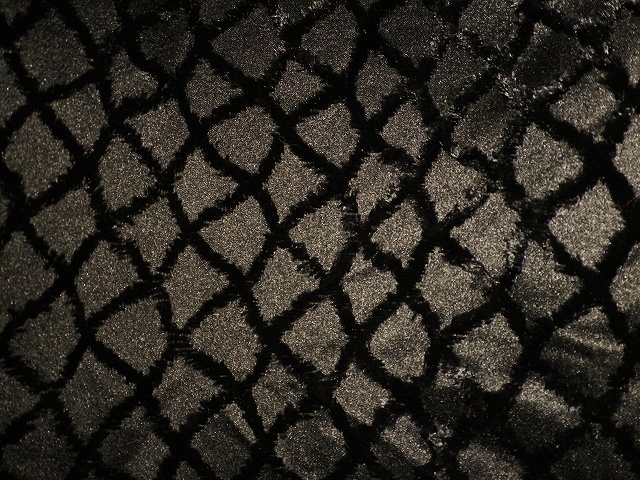 a0159652_20455846.jpg