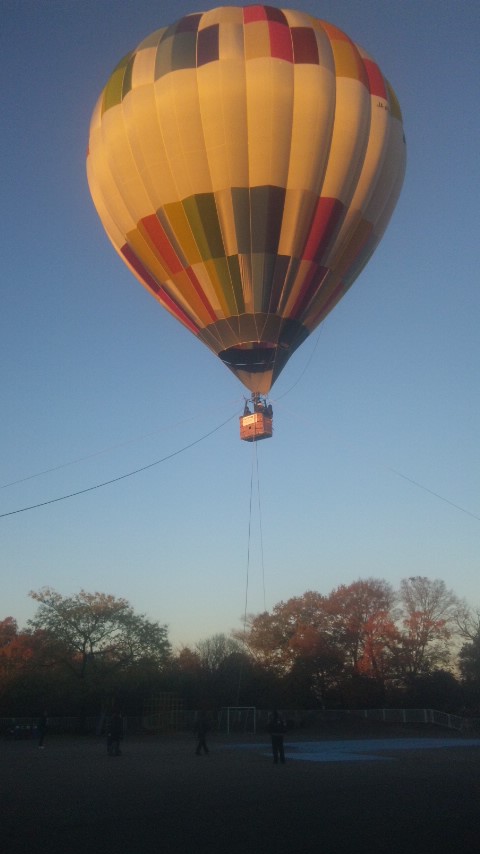e0110055_12451783.jpg