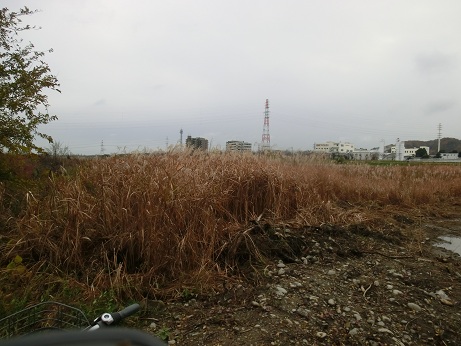 b0178466_1742954.jpg