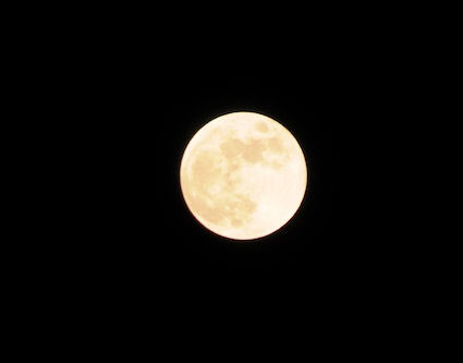 e0066474_16222252.jpg
