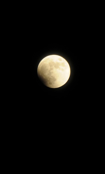 e0066474_1623445.jpg