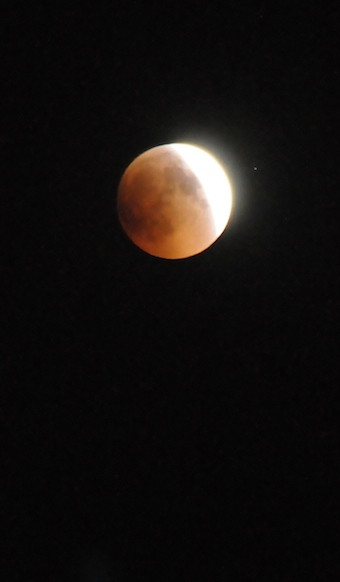 e0066474_1624534.jpg