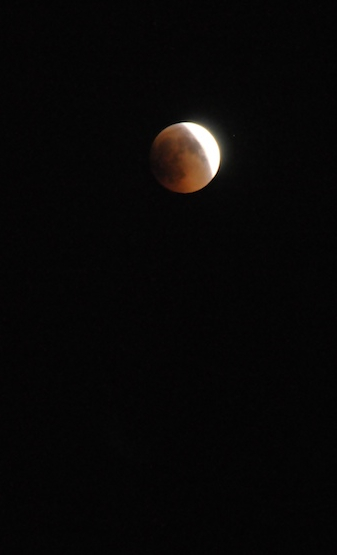 e0066474_16252142.jpg
