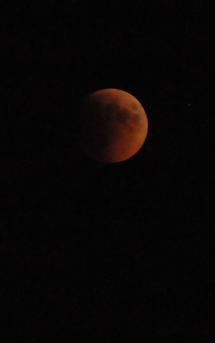 e0066474_1636265.jpg