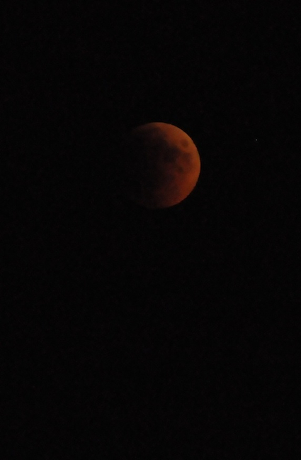 e0066474_16375192.jpg