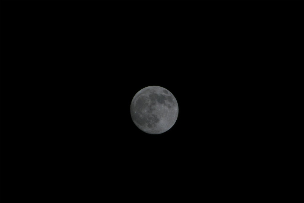 e0174074_6375621.jpg