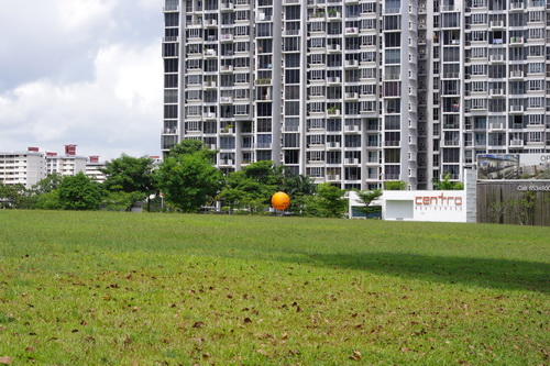 a0002177_1642278.jpg