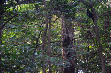 f0054677_8332366.jpg