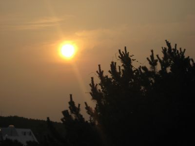 a0137279_2422435.jpg