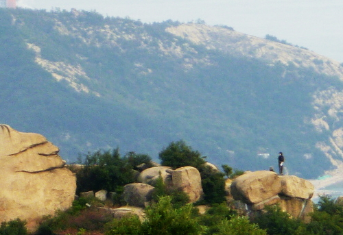 d0179983_1945751.jpg