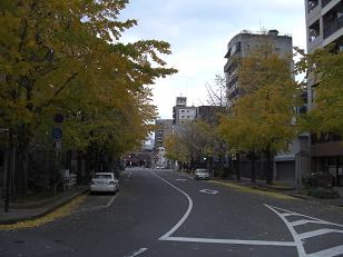 b0159585_14412820.jpg