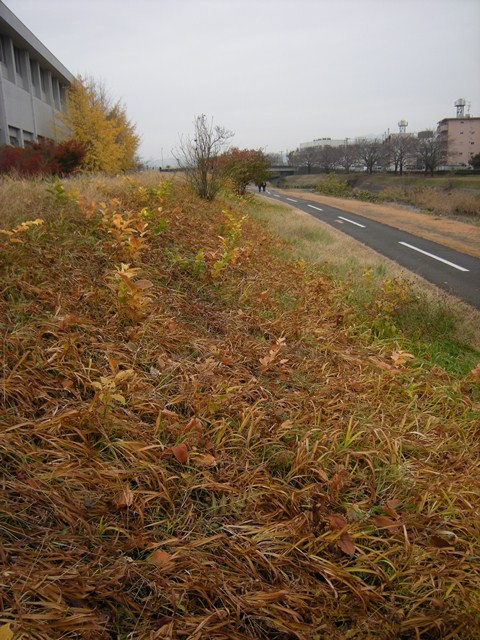 f0063887_1263826.jpg