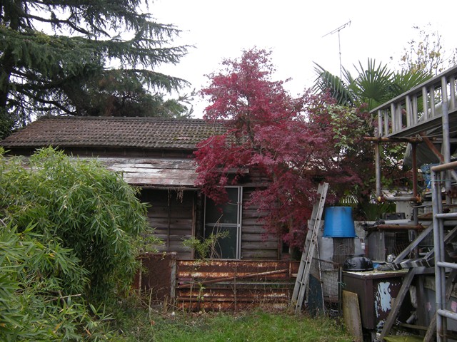f0063887_127383.jpg