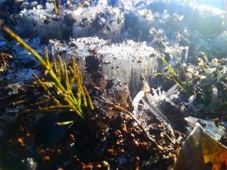 b0080189_9473954.jpg