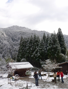 b0226089_17561240.jpg