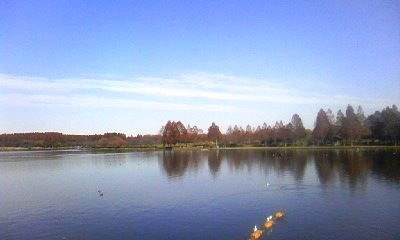 a0164292_1831236.jpg