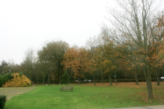 f0093592_18594052.jpg
