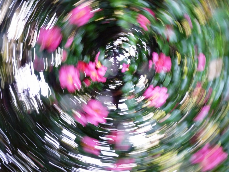 e0202393_4495329.jpg