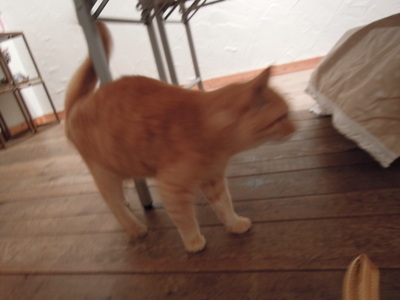 b0007895_7521528.jpg