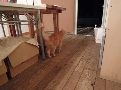 b0007895_7525824.jpg