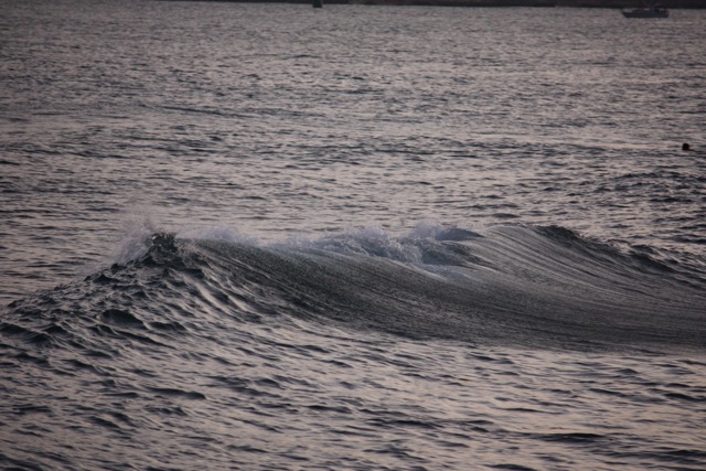 c0193396_11342164.jpg