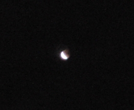 a0031000_1564986.jpg