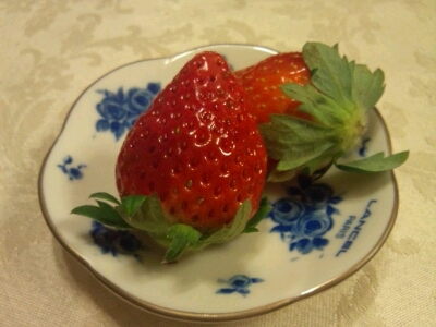 b0240500_2353259.jpg