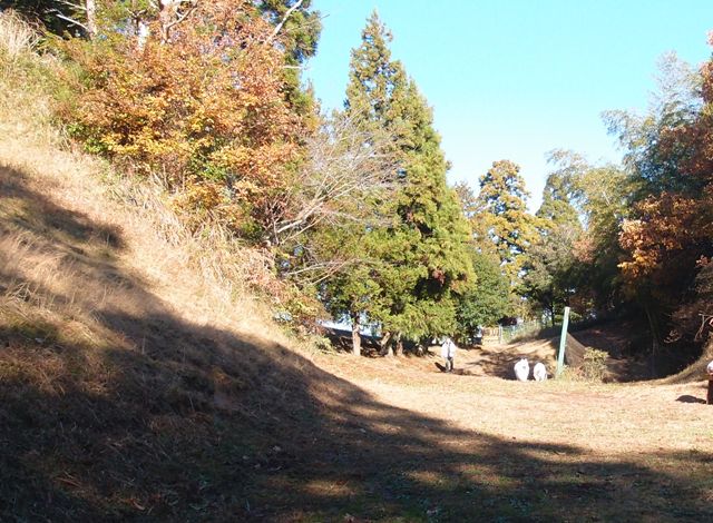 e0018604_17192580.jpg