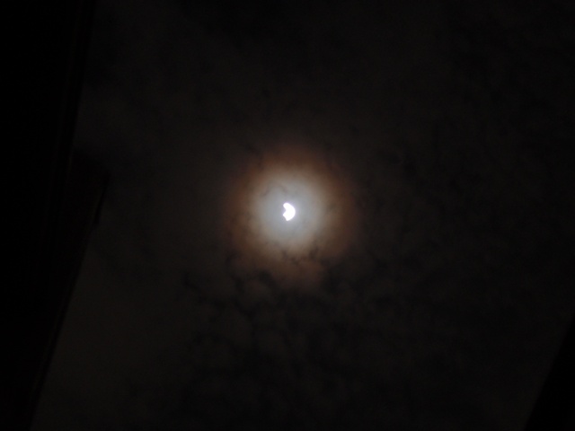 e0018604_17382318.jpg