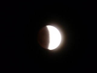 b0006405_721672.jpg