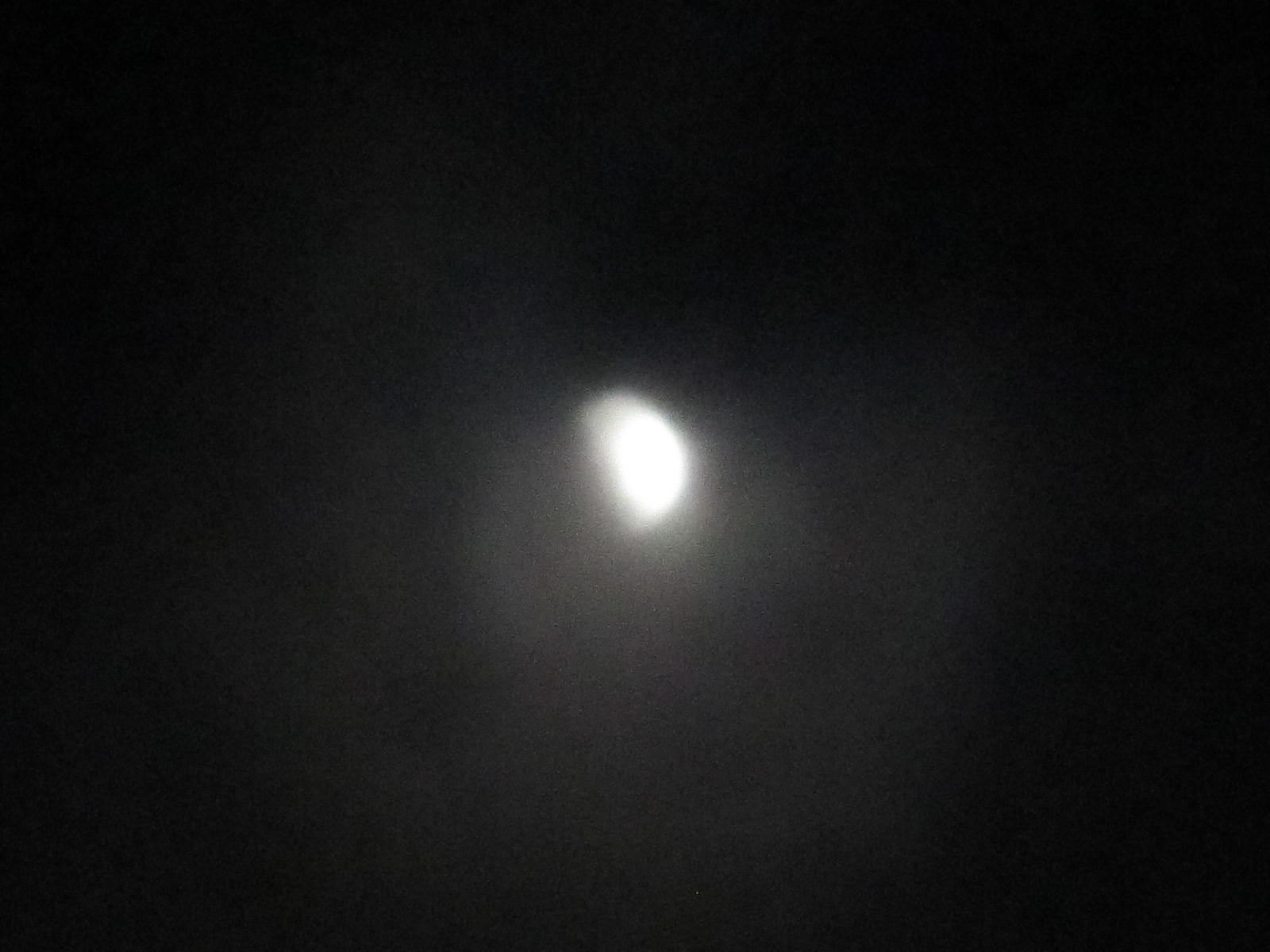 e0198606_23394710.jpg