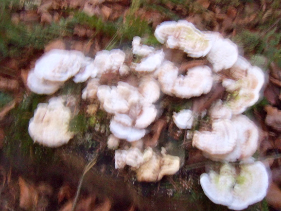a0230008_6355851.jpg
