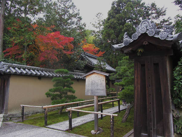 d0154609_11325835.jpg