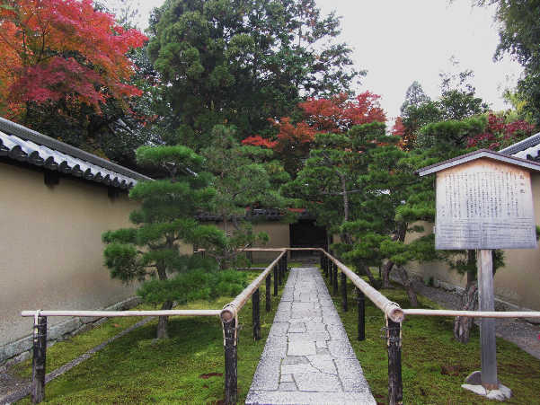 d0154609_11363252.jpg
