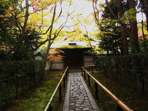 d0154609_11433933.jpg