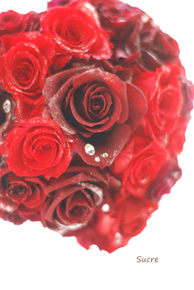 e0136609_045847.gif