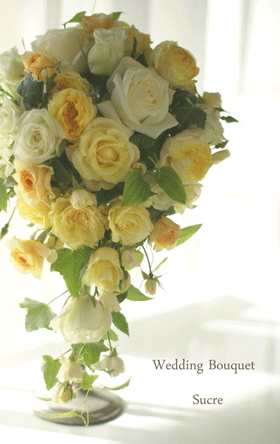 e0136609_20143232.gif