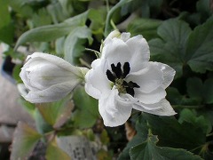 c0190010_2192643.jpg