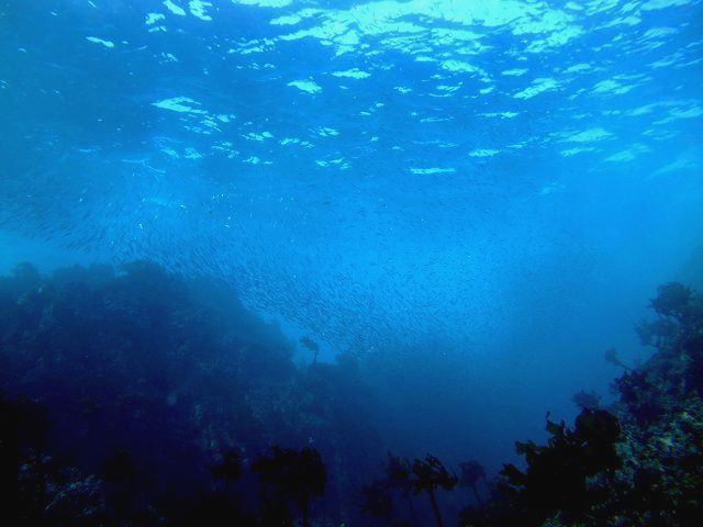 d0175710_21445484.jpg