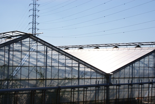 d0182913_12453146.jpg