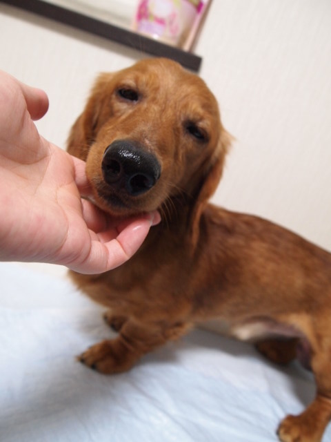 e0209716_18272360.jpg