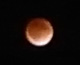 d0106518_119149.jpg